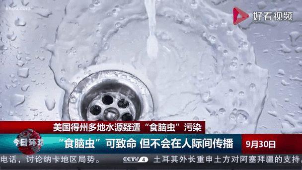 自来水中含活体虫,专业的一站式物流信息网_123随叫随到