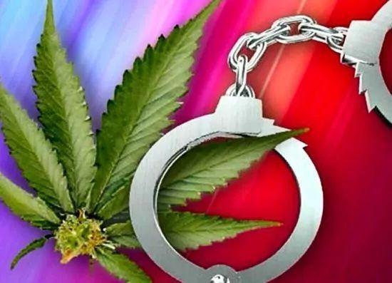 糖果检出大麻成分,ip138快递查询网_随叫随到