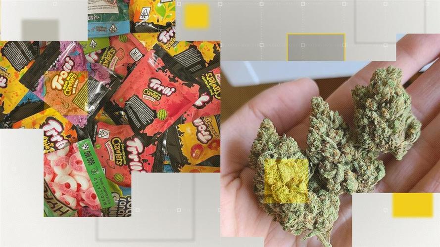 糖果检出大麻成分,专业的一站式物流信息网_123随叫随到