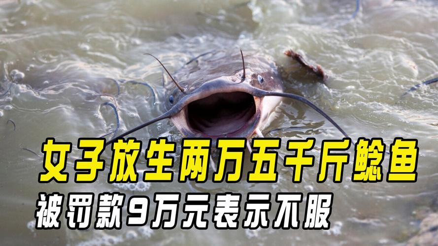 放生2.5万斤外来鲇鱼,让发货找车找物流更简单_123随叫随到