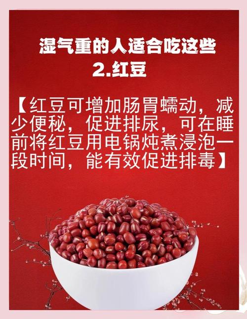 这些食物是湿气之源,让发货找车找物流更简单_123随叫随到