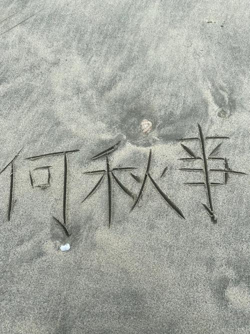 何秋亊爆粗口怼网友,天天发车准时送达_123随叫随到