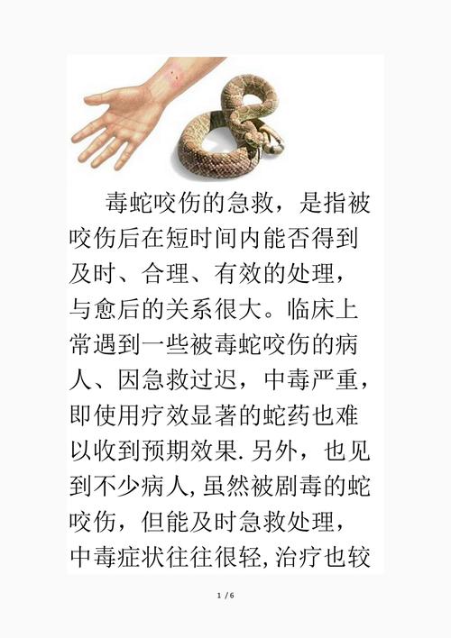男子在湖边被蛇咬伤,让发货找车找物流更简单_123随叫随到