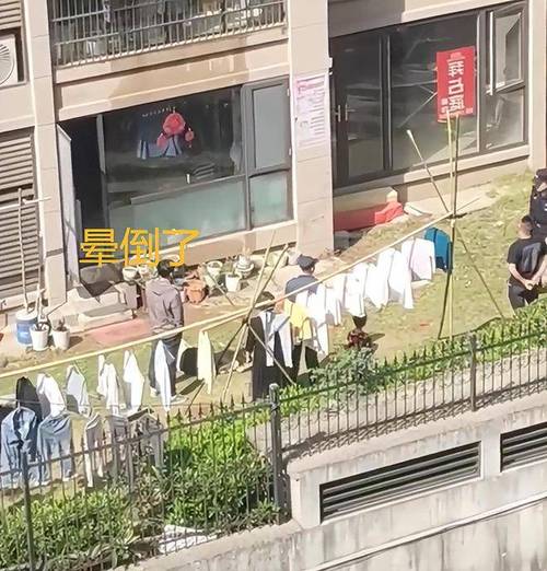 天降花盆砸路人脚边,专业的一站式物流信息网_123随叫随到