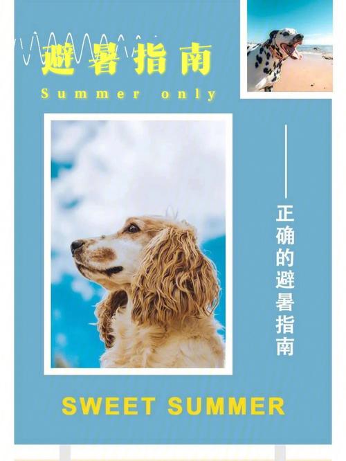 2025年6月6日 第2页