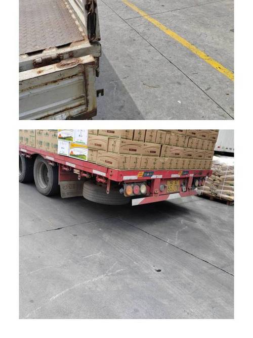 被蛇咬两年仍后遗症,专业的一站式物流信息网_123随叫随到