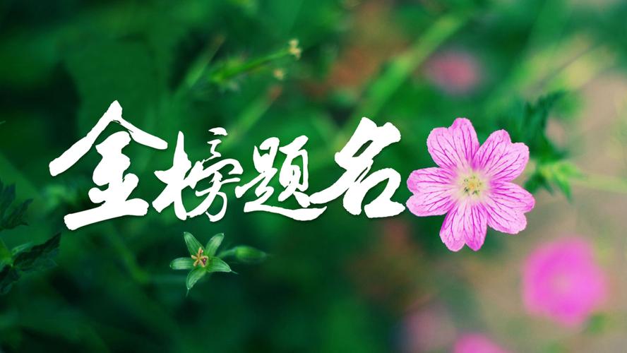 老师穿状元服送祝福,上门取货_123随叫随到