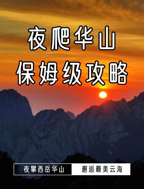 夜爬华山看到火箭,仓配一体,时效速达