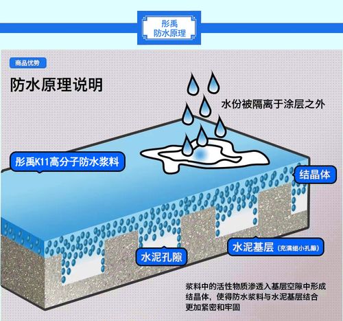 一地下室惊现大鱼池,物流专线直达_123随叫随到
