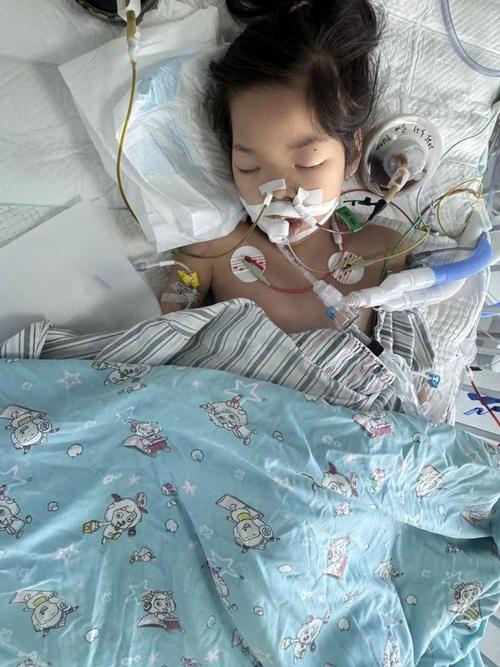00后女孩自学插胃管,专业的一站式物流信息网_123随叫随到