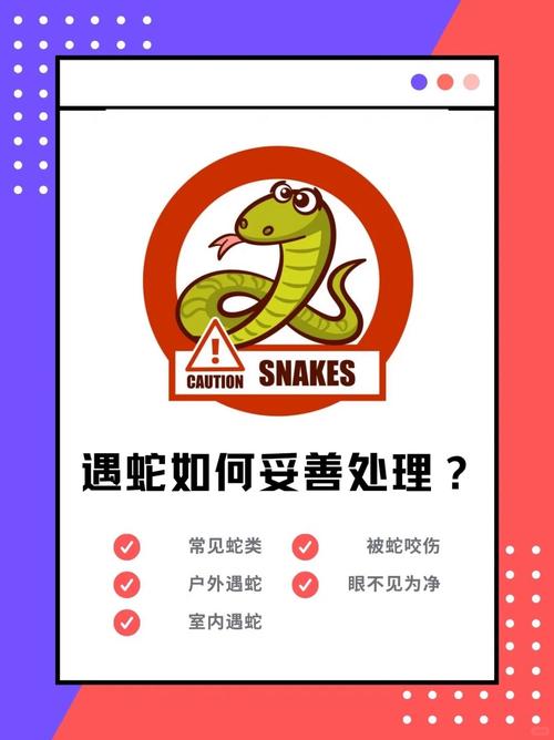 被蛇咬反抓蛇再遭咬,专业的一站式物流信息网_123随叫随到