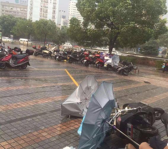 长沙一大学宿舍被淹,专业的一站式物流信息网_123随叫随到