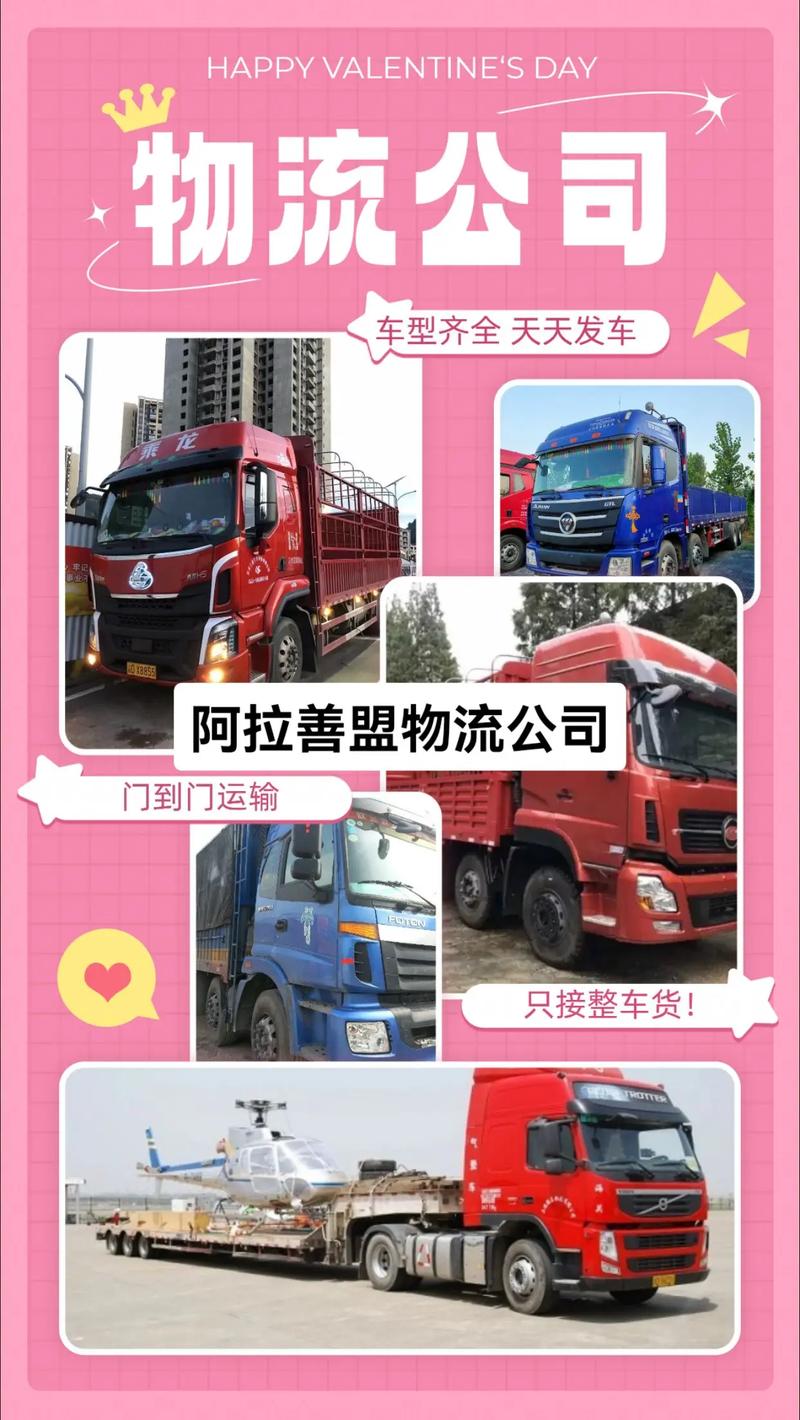 熊闯入家中上桌偷吃,专业的一站式物流信息网_123随叫随到