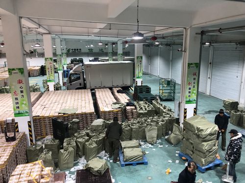 柜员拿放大镜办业务,仓配一体,时效速达