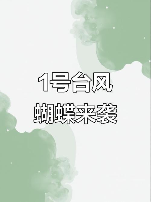 台风蝴蝶将登陆海南,专业的一站式物流信息网_123随叫随到