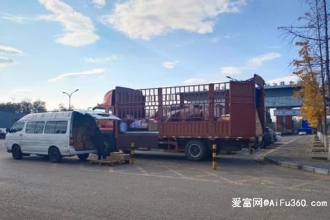 胃其实也有起床气,让发货找车找物流更简单_123随叫随到
