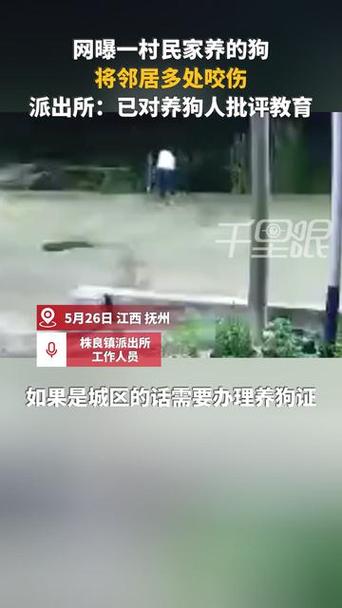 狗闯村民家咬伤女童,仓配一体,时效速达