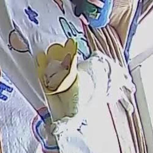 喉咙不适输液后身亡,快递单号查询_123随叫随到