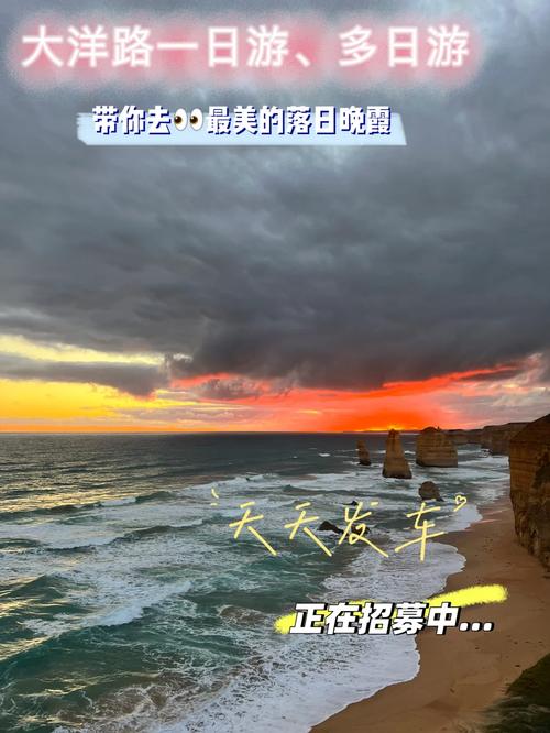 蜜雪喝出不明飞虫,天天发车准时送达_123随叫随到