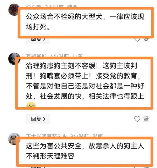 多名村民被恶犬咬伤,仓配一体,时效速达