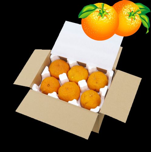 5万余斤桃子遭摘光,快递单号查询_123随叫随到