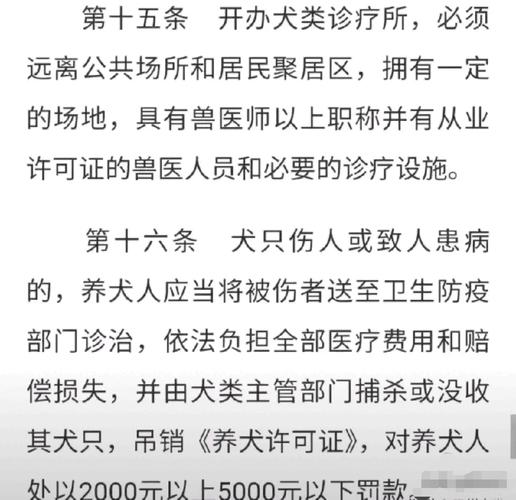 被40只狗围咬致死,ip138快递查询网_随叫随到