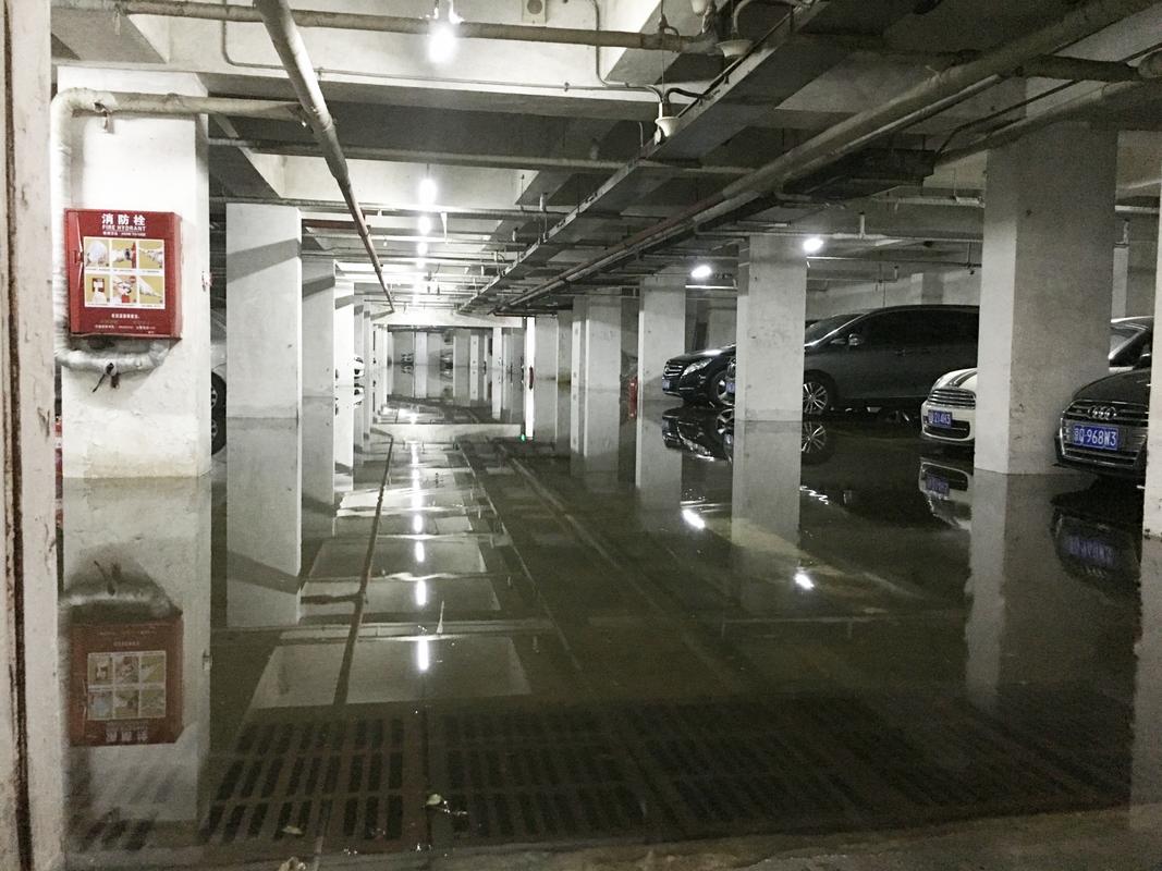 车库被淹被困22小时,物流专线直达_123随叫随到