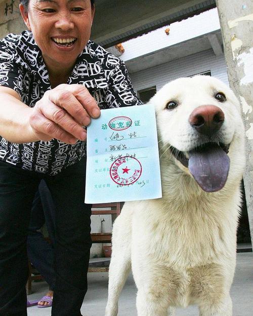 被狗咬3个月后去世,物流专线直达_123随叫随到