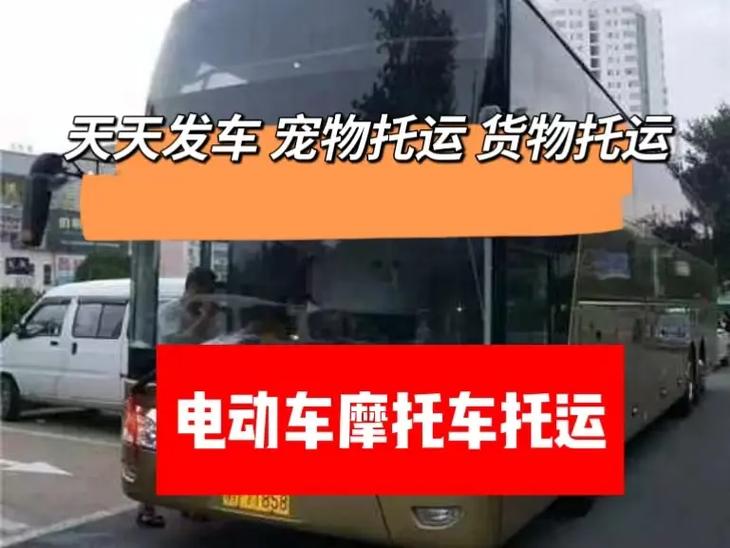 高考查分,天天发车准时送达_123随叫随到