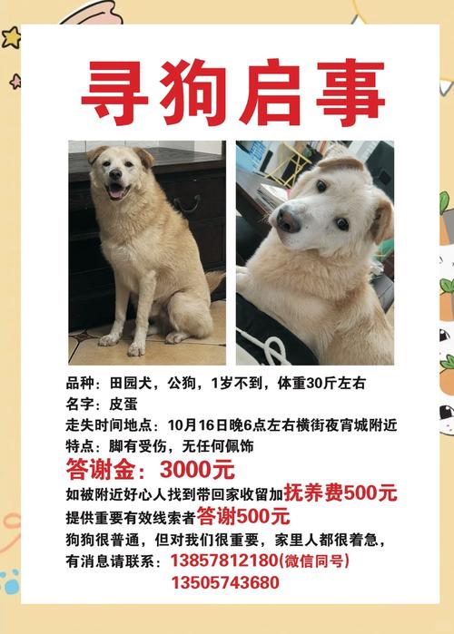 被狗咬3个月后去世,天天发车准时送达_123随叫随到
