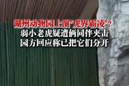动物园一大象被霸凌,天天发车准时送达_123随叫随到