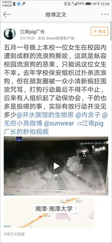 保安打死校内流浪狗,快递单号查询_123随叫随到