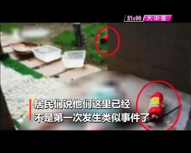 高空抛2菜刀险砸人,快递单号查询_123随叫随到