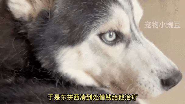 高空掉落2把菜刀,快递单号查询_123随叫随到
