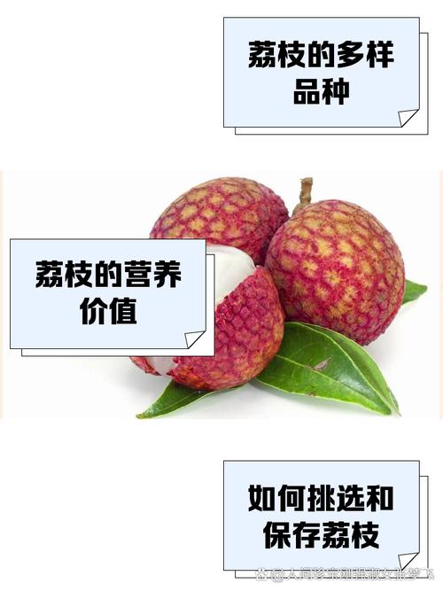 新鲜的荔枝长这样,上门取货_123随叫随到