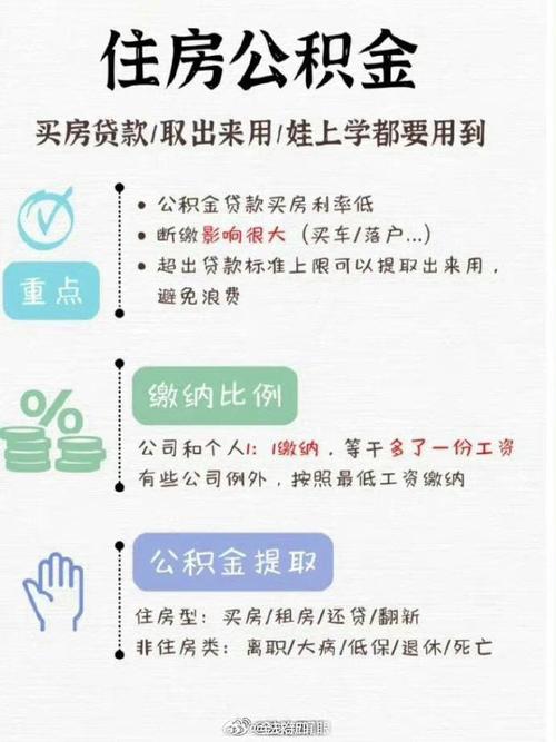 明日公积金到账笔钱,天天发车准时送达_123随叫随到