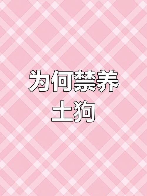 解除禁养中华田园犬,专业的一站式物流信息网_123随叫随到