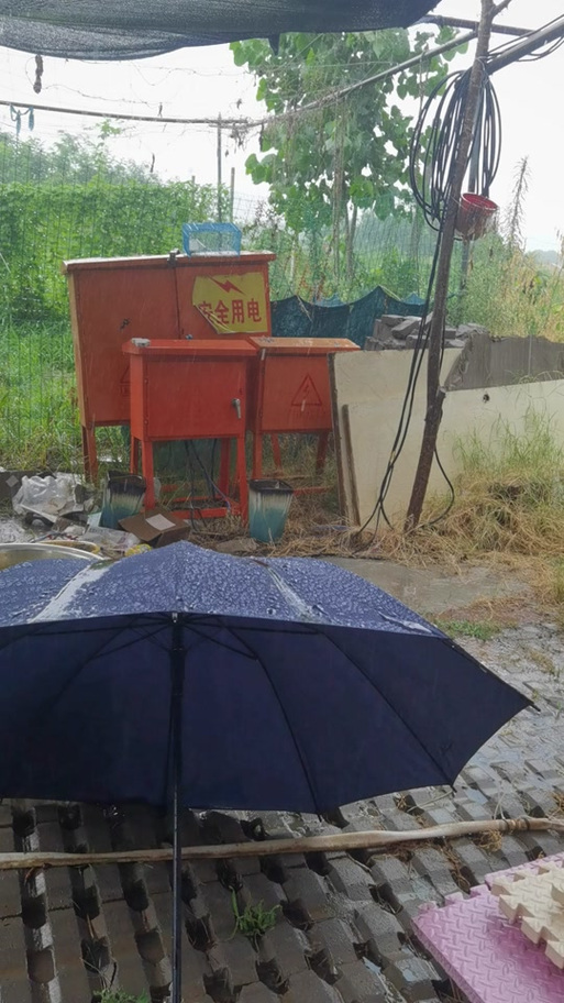 5层楼因暴雨垮塌,快递单号查询_123随叫随到