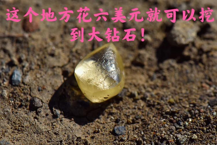 公园挖3.36克拉钻石,上门取货_123随叫随到