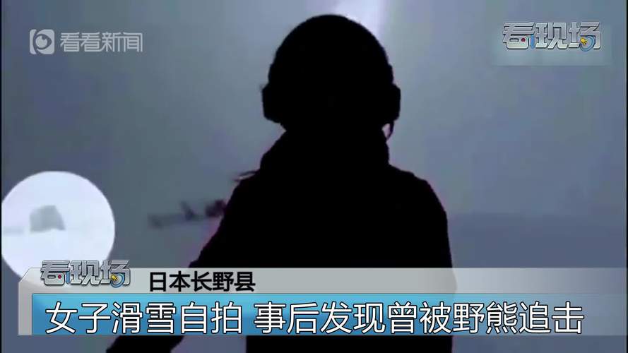 靠近熊自拍被袭致死,ip138快递查询网_随叫随到
