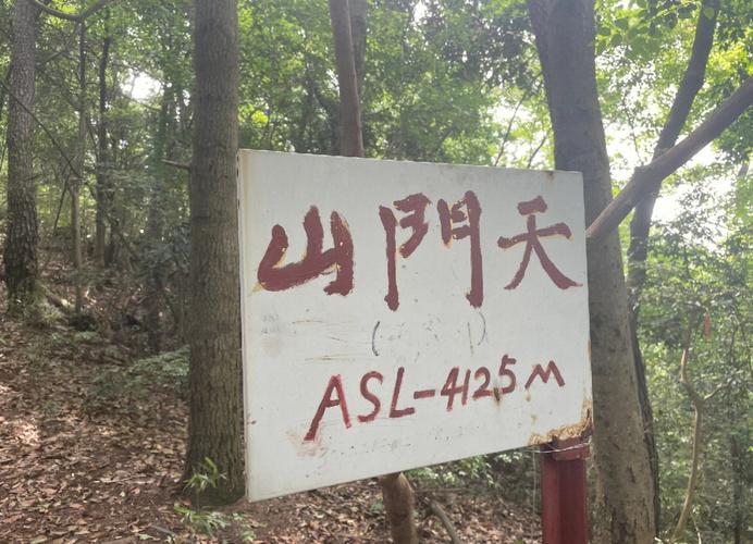 徒步掉队迷路后身亡,专业的一站式物流信息网_123随叫随到