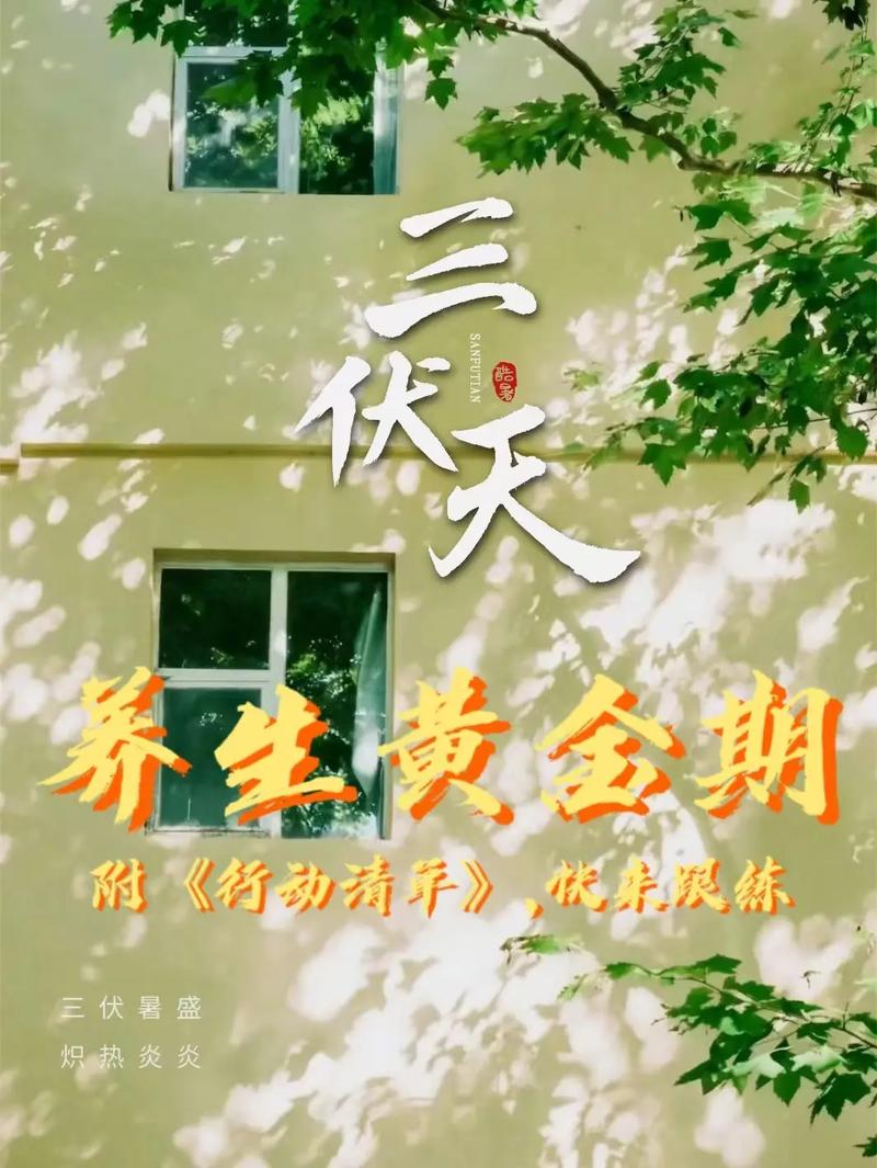 今年三伏不再是40天 ,上门取货_123随叫随到