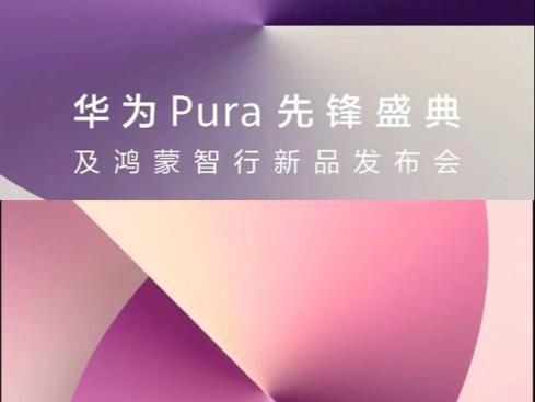 华为盘古否认抄袭,仓配一体,时效速达