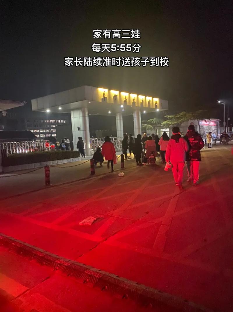 怕迟到扇电梯3巴掌,物流专线直达_123随叫随到