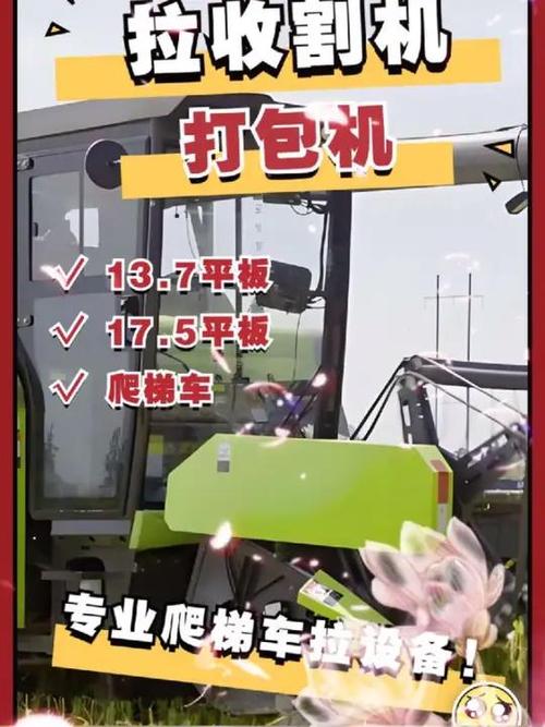 29岁女演员当服务员,专业的一站式物流信息网_123随叫随到