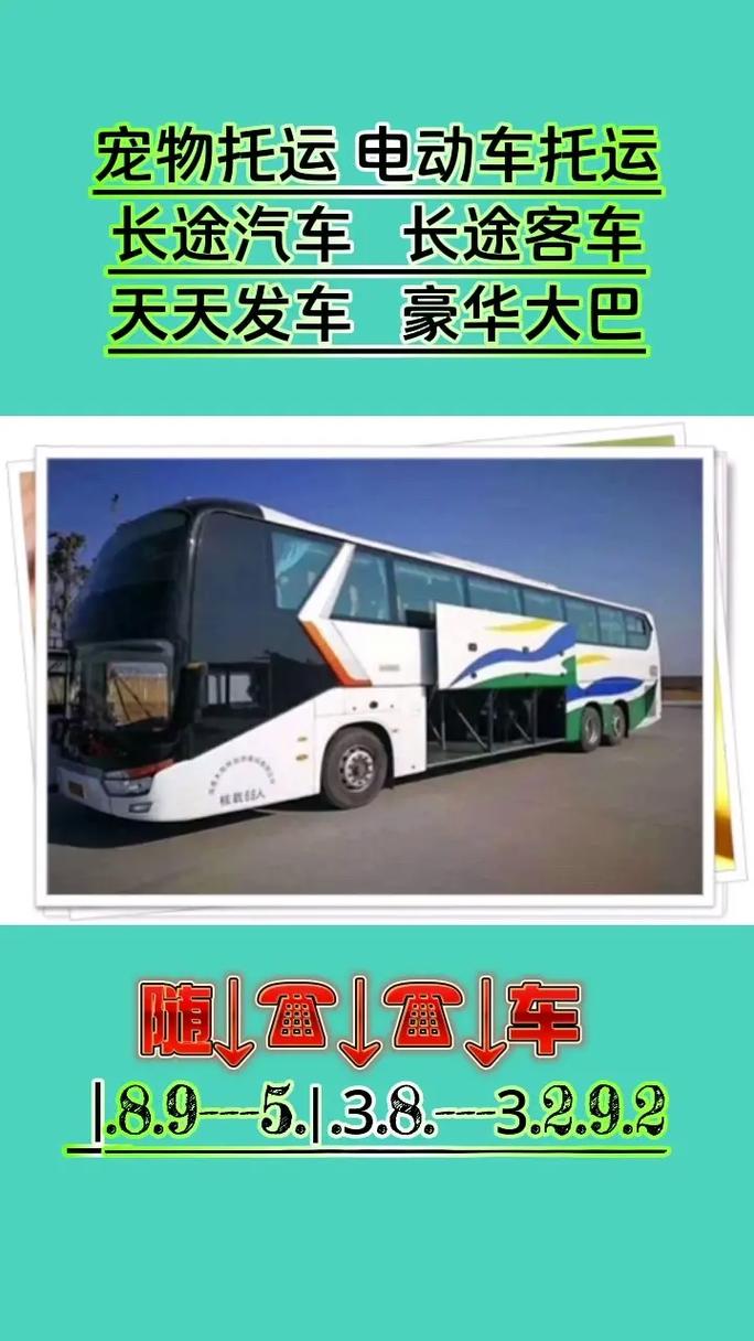 拖400万现金坐动车,天天发车准时送达_123随叫随到