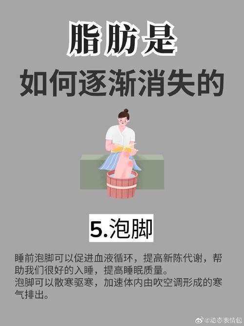 脂肪消失的6个信号,专业的一站式物流信息网_123随叫随到