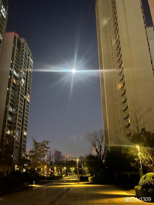 在新疆拍到超大圆月,天天发车准时送达_123随叫随到