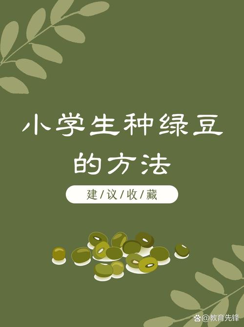 幼儿坐超市绿豆中玩,仓配一体,时效速达