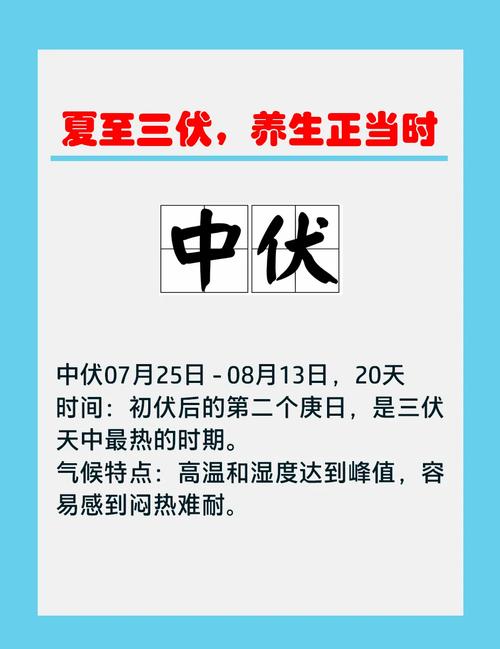 30天三伏天将开启,仓配一体,时效速达